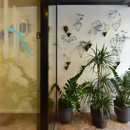 Hotel Rousseau 3*